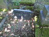 image of grave number 729890